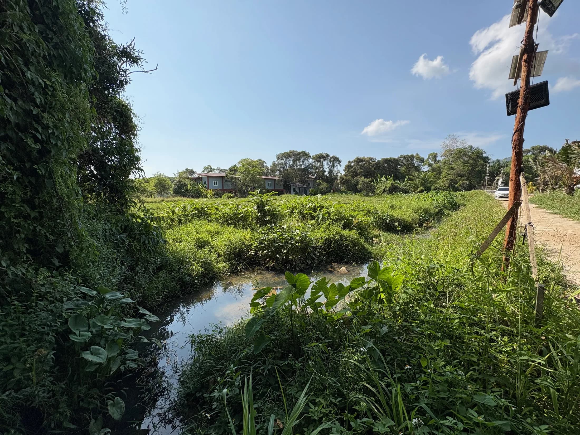 Water channel and green vegetation across the Wok Tum site