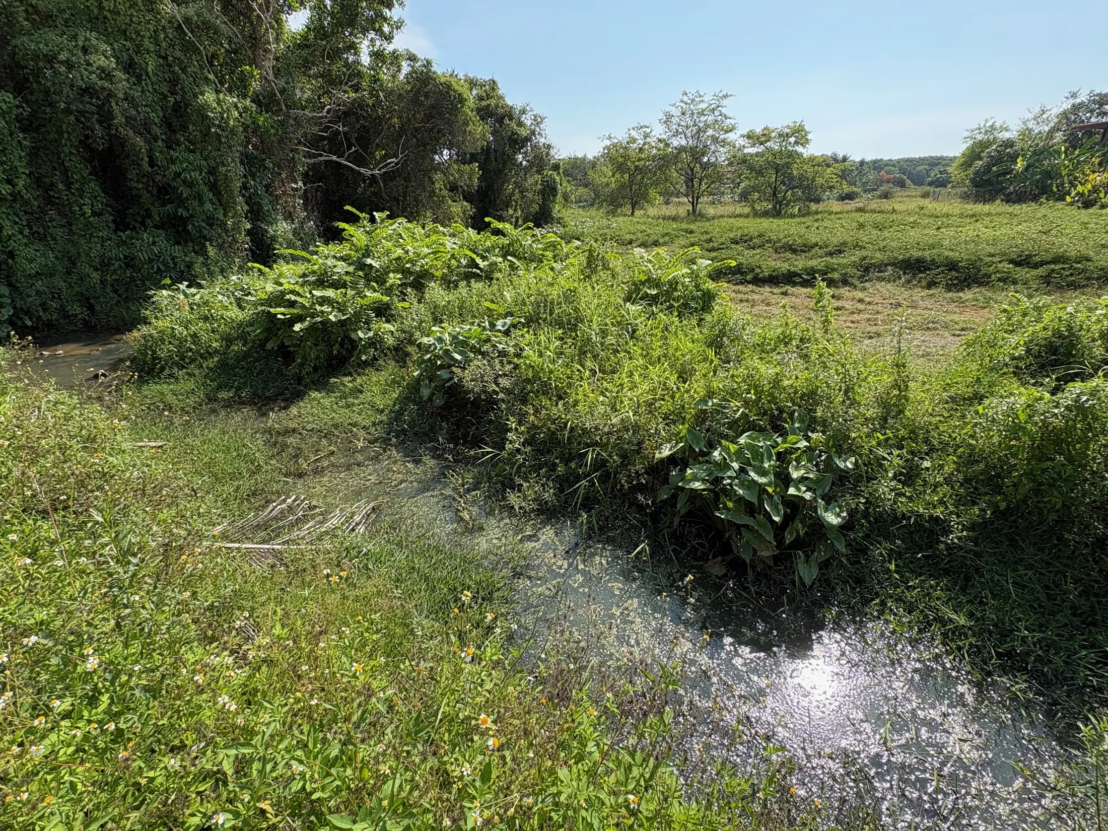 Open Wok Tum development land with water channel in the foreground