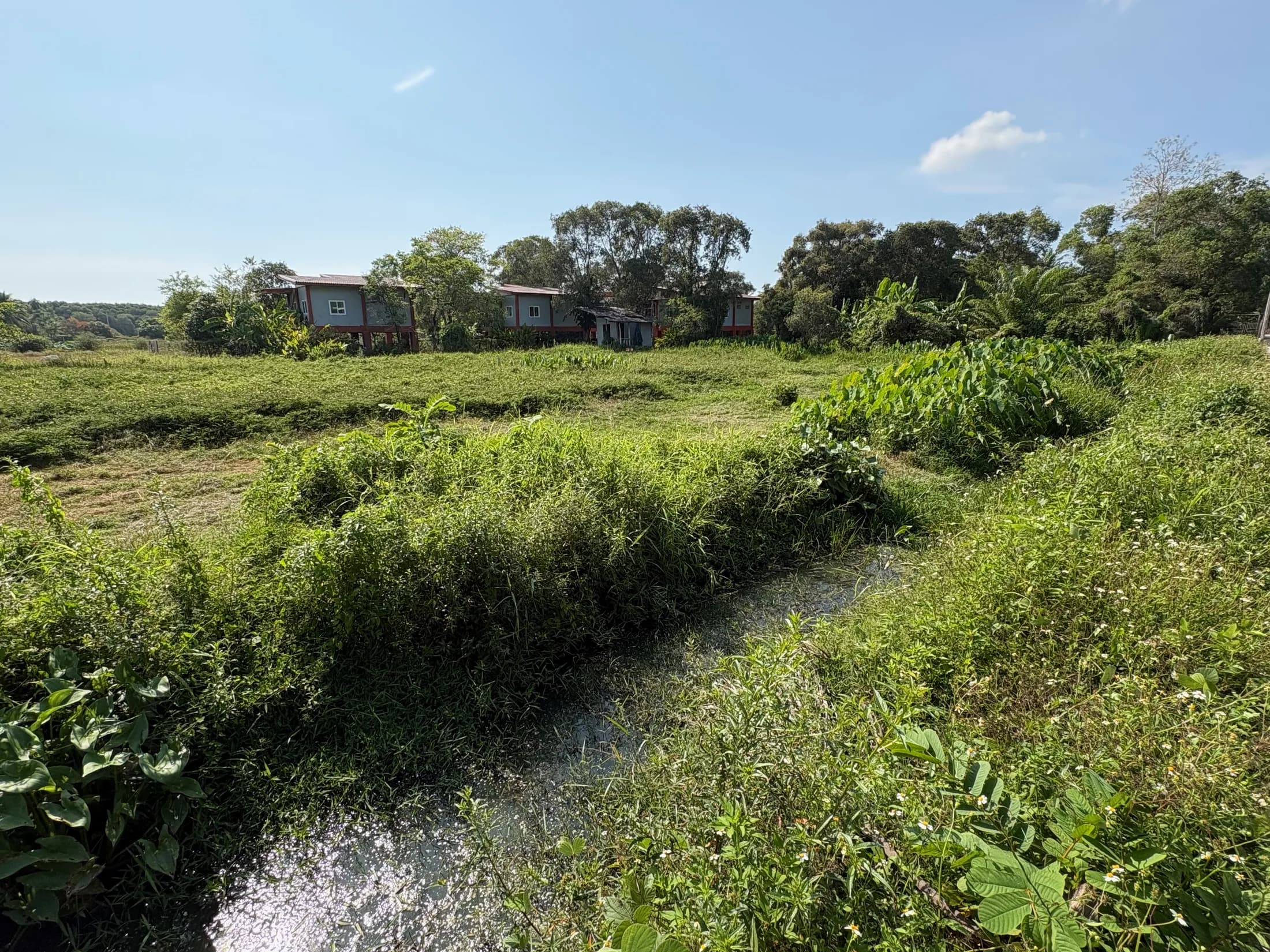 Wide Wok Tum plot view with seasonal water and open vegetation